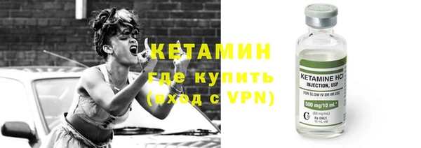 шишки Лагань