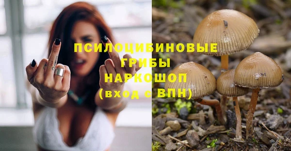 винт Липки