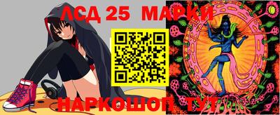 Альфа ПВП Беслан