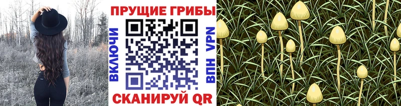 Галлюциногенные грибы ЛСД  Мирный 