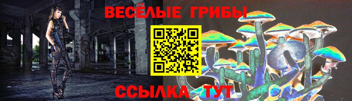 Галлюциногенные грибы GOLDEN TEACHER Мирный